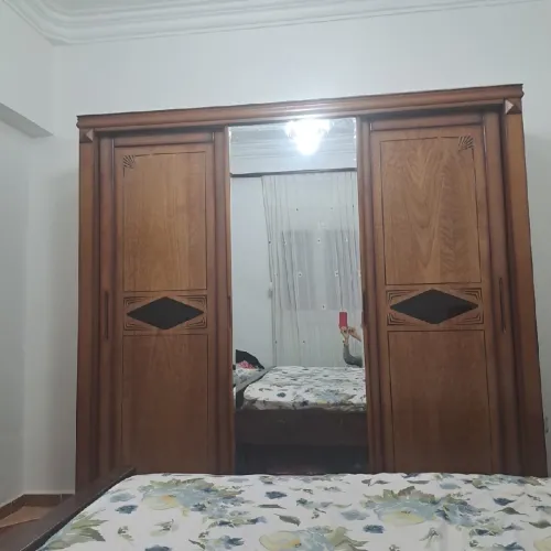 bois hêtre