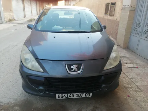 Peugeot 307 2007 307