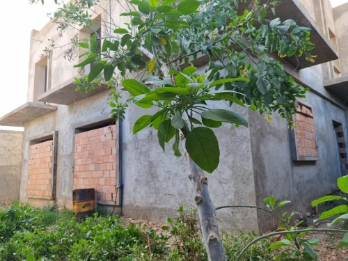 Vente Villa Oran Arzew