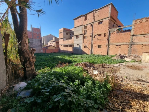 Vente Terrain Tipaza Hadjout