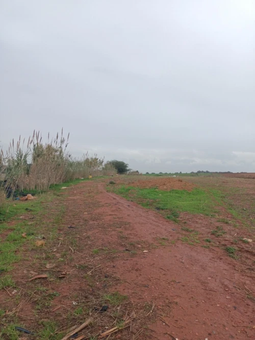 Vente Terrain Agricole Tipaza Khemisti