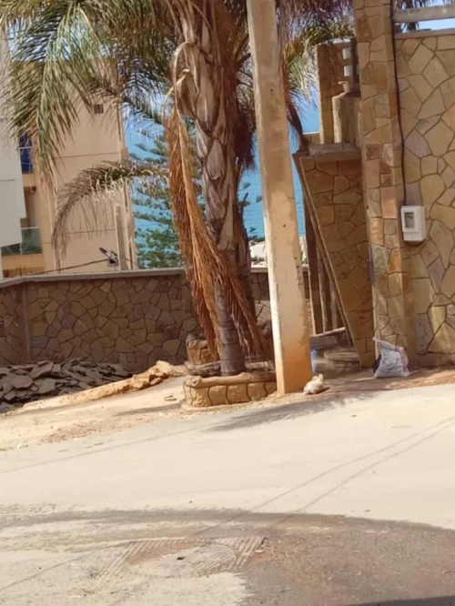 Vente Villa Tipaza Ain tagourait