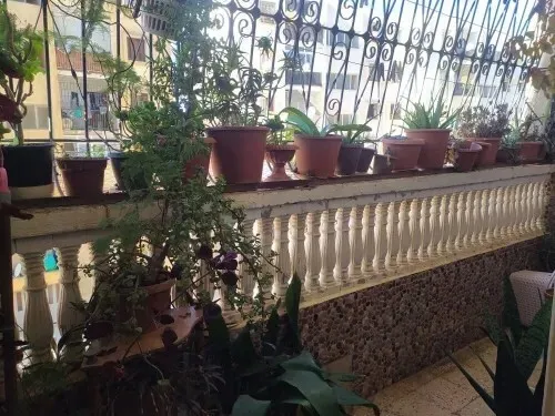 Vente Appartement F3 Tipaza Cherchell