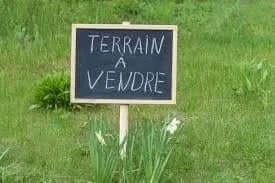 Vente Terrain Agricole Tipaza Ahmar el ain