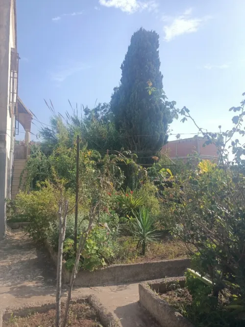 Vente Villa Tipaza Bou ismail