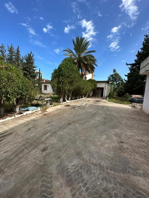 Vente Terrain Tipaza Kolea