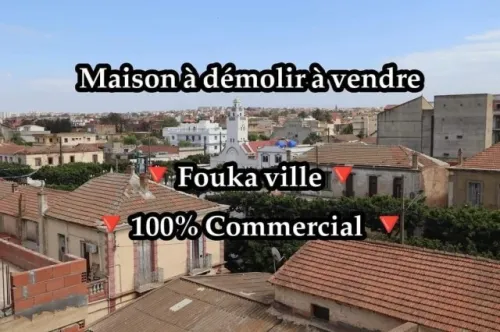 Vente Terrain Tipaza Fouka