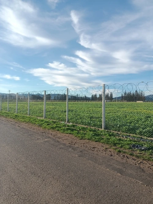 Vente Terrain Agricole Tipaza Ahmar el ain