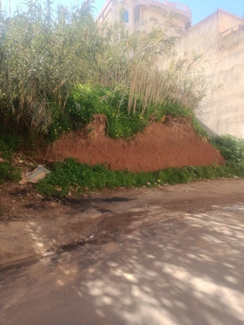Vente Terrain Tipaza Ain tagourait