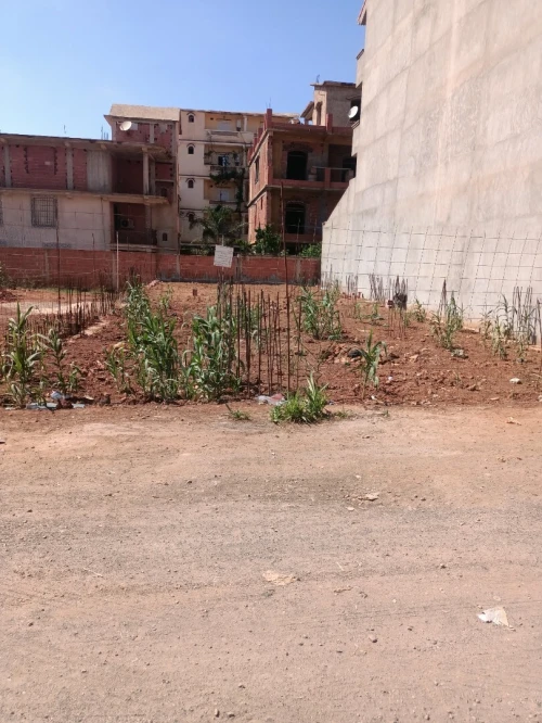 Vente Terrain Tipaza Fouka