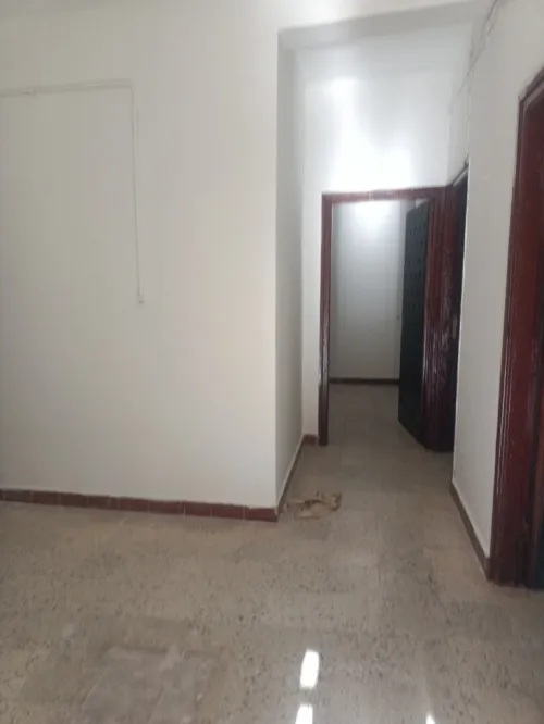 Location Appartement Niveau de villa F5 Tipaza Kolea