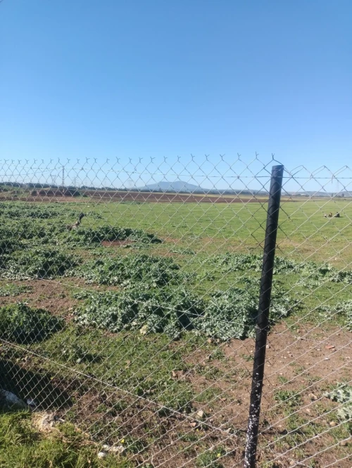 Vente Terrain Agricole Tipaza Ahmar el ain