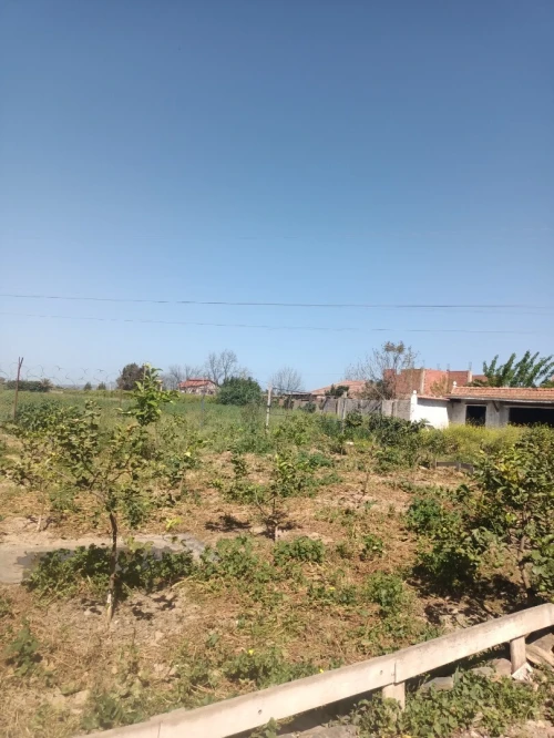 Vente Terrain Agricole Tipaza Ahmar el ain