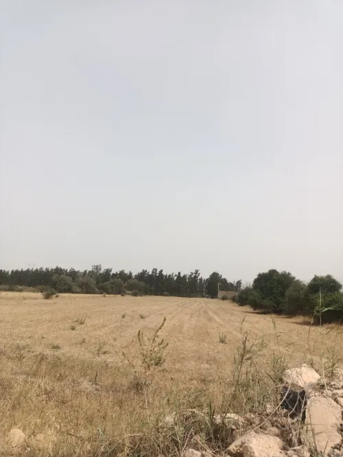 Vente Terrain Tipaza Kolea