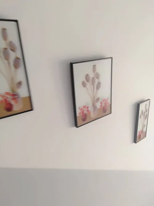 Vente Appartement F3 Tipaza Khemisti