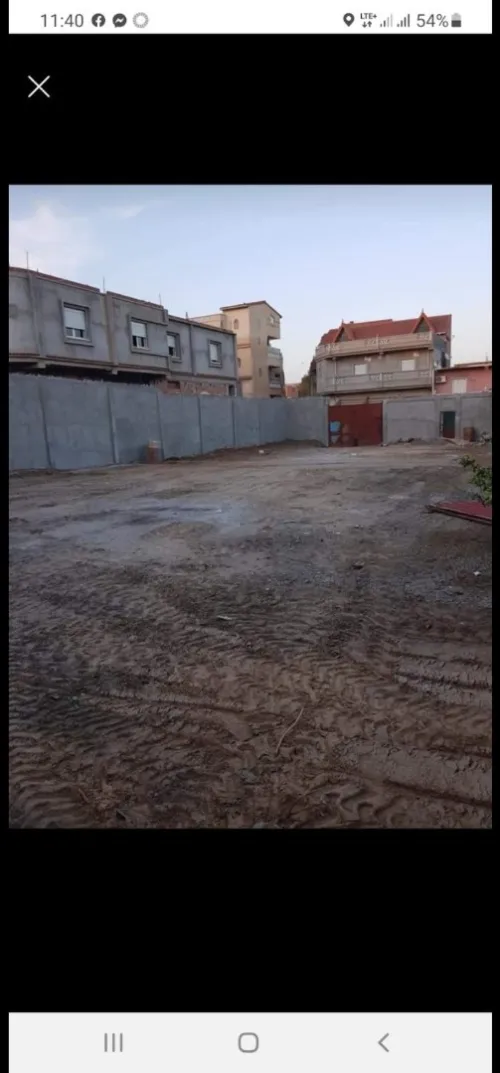 Vente Terrain Tipaza 