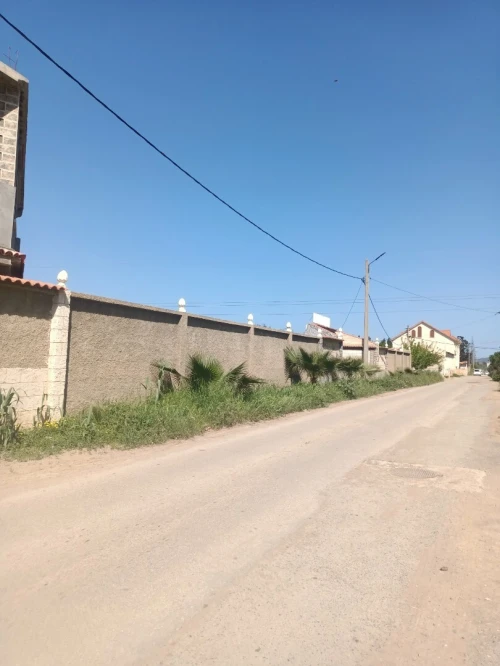 Vente Terrain Agricole Tipaza Ahmar el ain