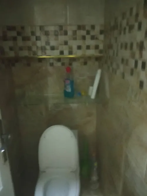 Vente Appartement Tipaza Kolea
