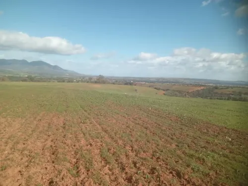 Vente Terrain Agricole Tipaza Tipaza