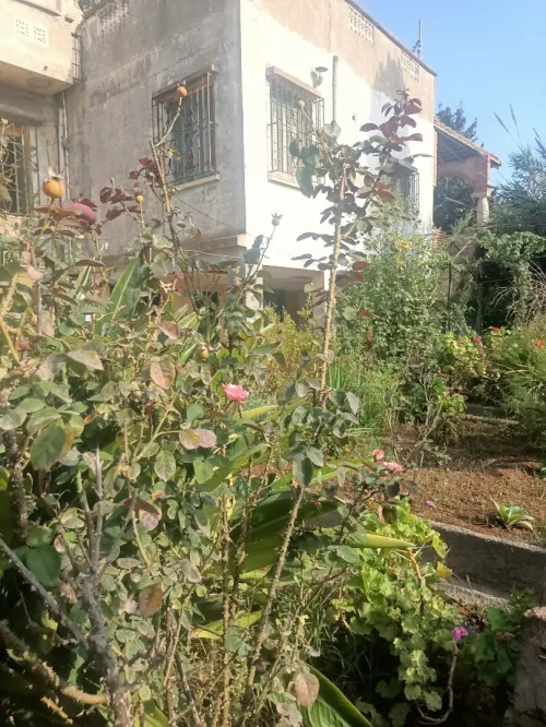 Vente Villa Tipaza Bou ismail