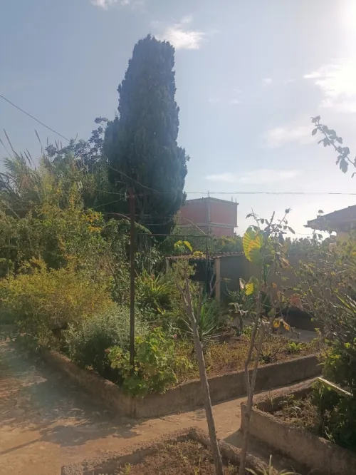 Vente Villa Tipaza Bou ismail