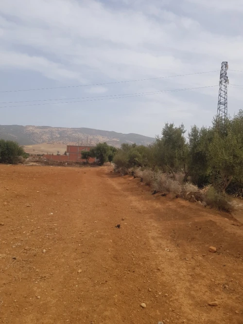 Vente Terrain Agricole Aïn Defla Khemis miliana