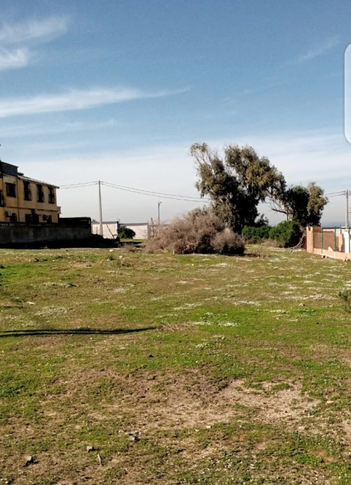 Vente Terrain Boumerdès Thenia