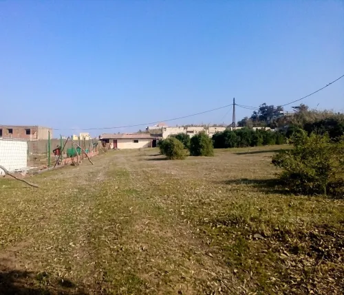 Vente Terrain Boumerdès Thenia
