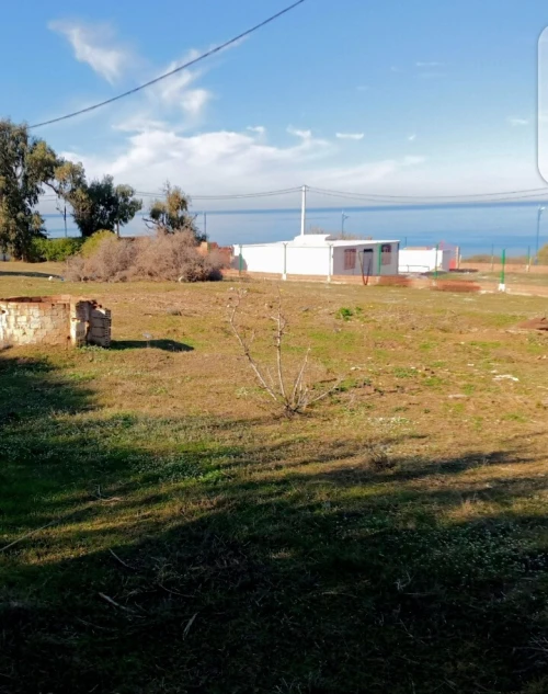 Vente Terrain Boumerdès Thenia
