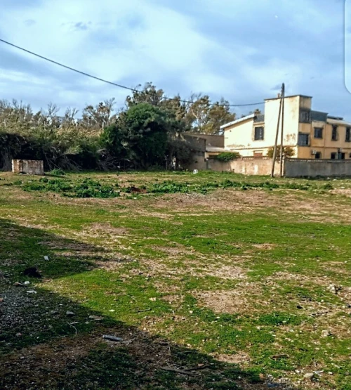 Vente Terrain Boumerdès Thenia