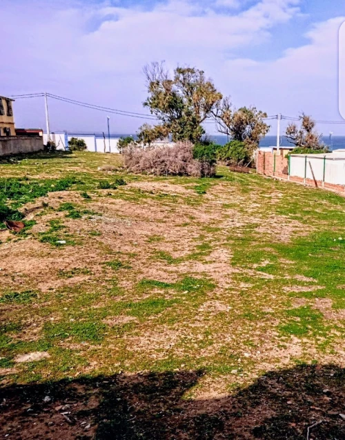 Vente Terrain Boumerdès Thenia