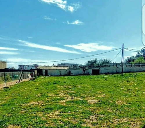 Vente Terrain Boumerdès Thenia