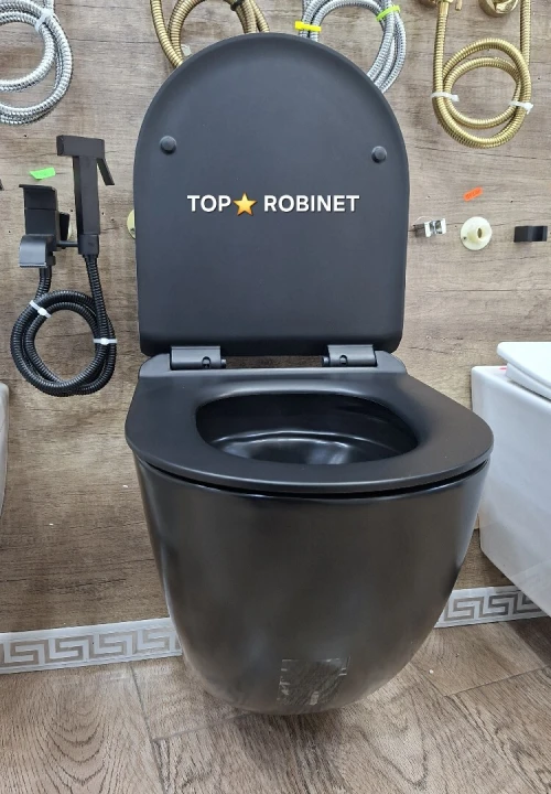 Cuvette toilette wc