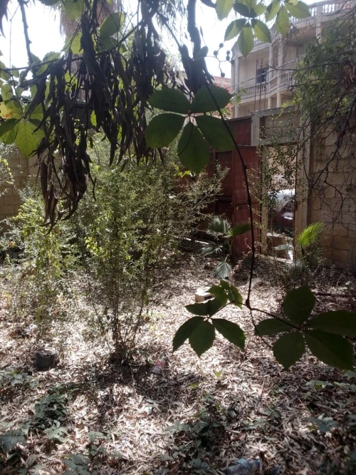 Vente Terrain Alger Dar el beida 4