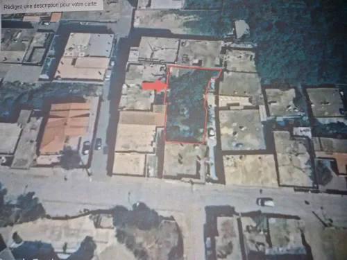 Vente Terrain Blida Ben khellil