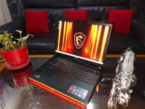 [VENDU]MSI RAIDER GE78 HX - i9-14900HX-RTX 4090 16Go-Écran 17.3" QHD+ 240Hz-SSD 2TB - RAM 32 5600MHz
