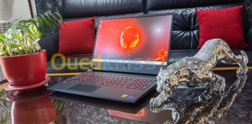DELL G15 5511 - i7 11800H - RTX 3060- Écran 15.6"FHD 360Hz - SSD 512Go - RAM 32Go