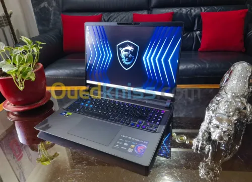 [VENDU] MSI VECTOR GP68 HX - i9-12900HX - RTX 4080 12Go- ÉCRAN 16" QHD 240Hz - RAM 32Go - SSD 1TB