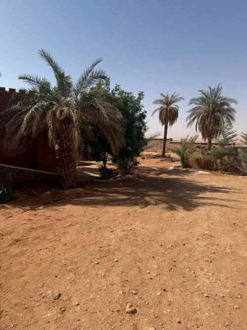 Vente Terrain Timimoun Timimoun