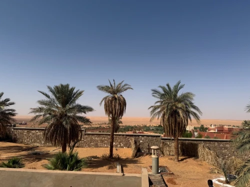 Vente Terrain Timimoun Timimoun