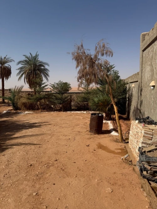 Vente Terrain Timimoun Timimoun