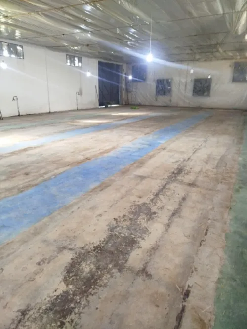 Location Hangar Constantine Constantine