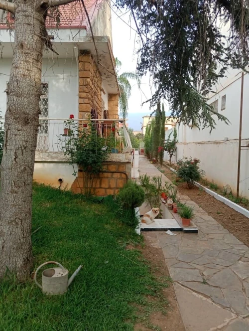 Vente Villa Blida Beni mered