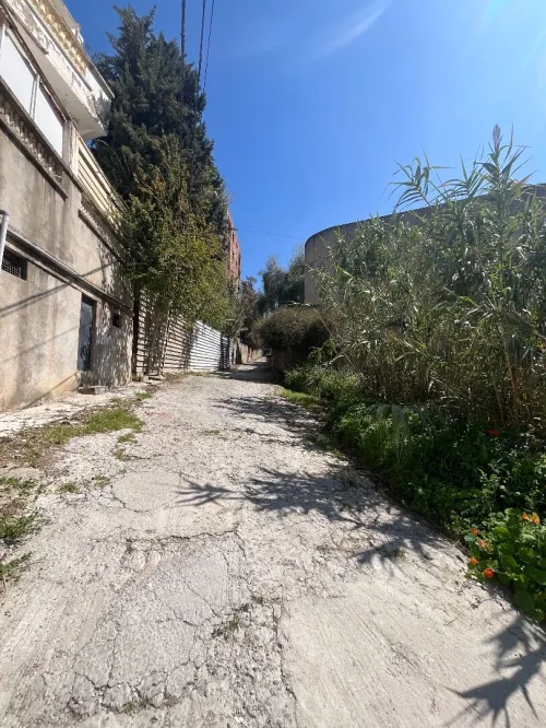 Vente Terrain Alger Cheraga