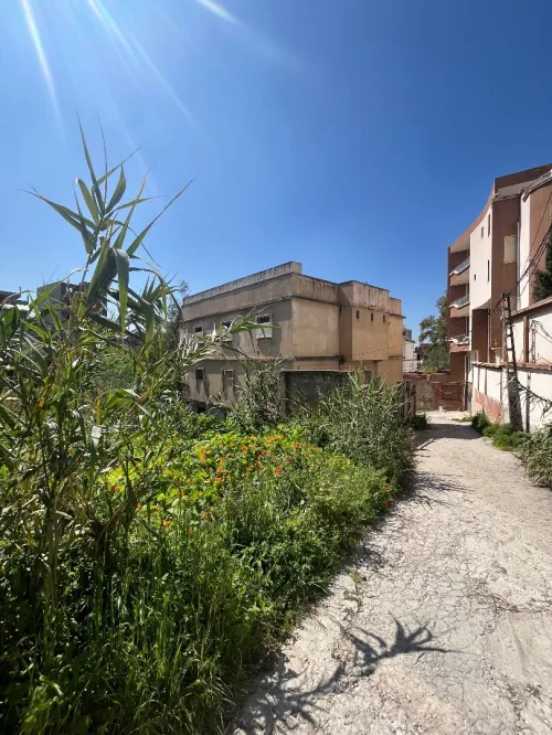 Vente Terrain Alger Cheraga