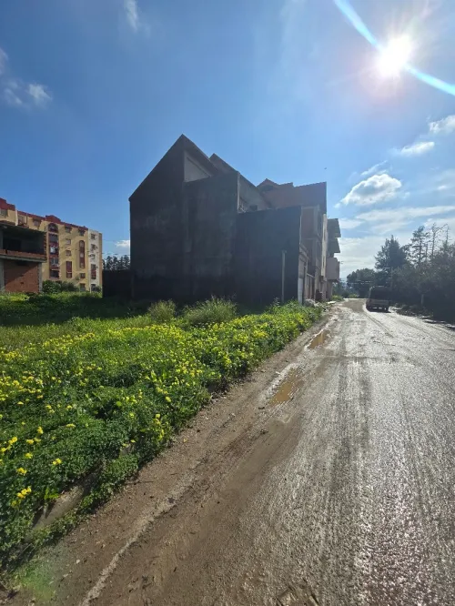Vente Terrain Blida Chebli