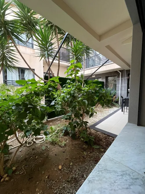 Location Appartement F2 Alger Bir mourad rais