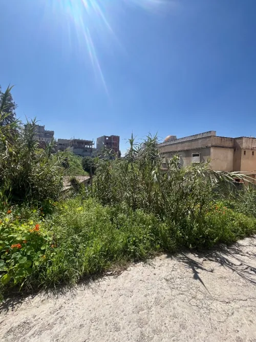 Vente Terrain Alger Cheraga