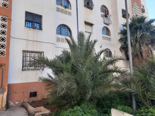 Location Appartement F2 Alger Zeralda