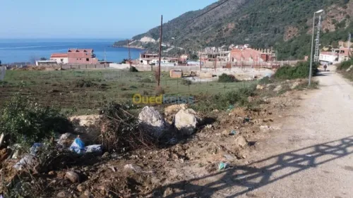 Vente Terrain Jijel El aouana